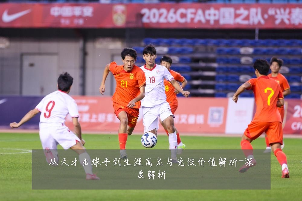 从天才击球手到生涯高光与竞技价值解析-深度解析